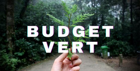 Budget vert