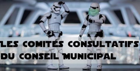Comités consultatifs.jpg